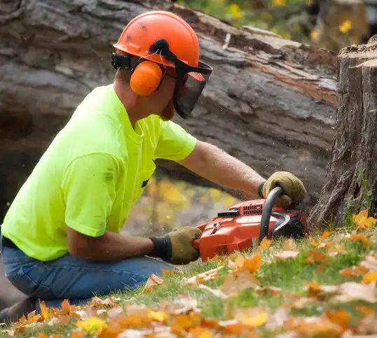 tree services South Windham